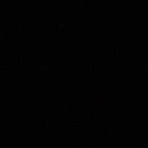 Meet your Posher, Monique